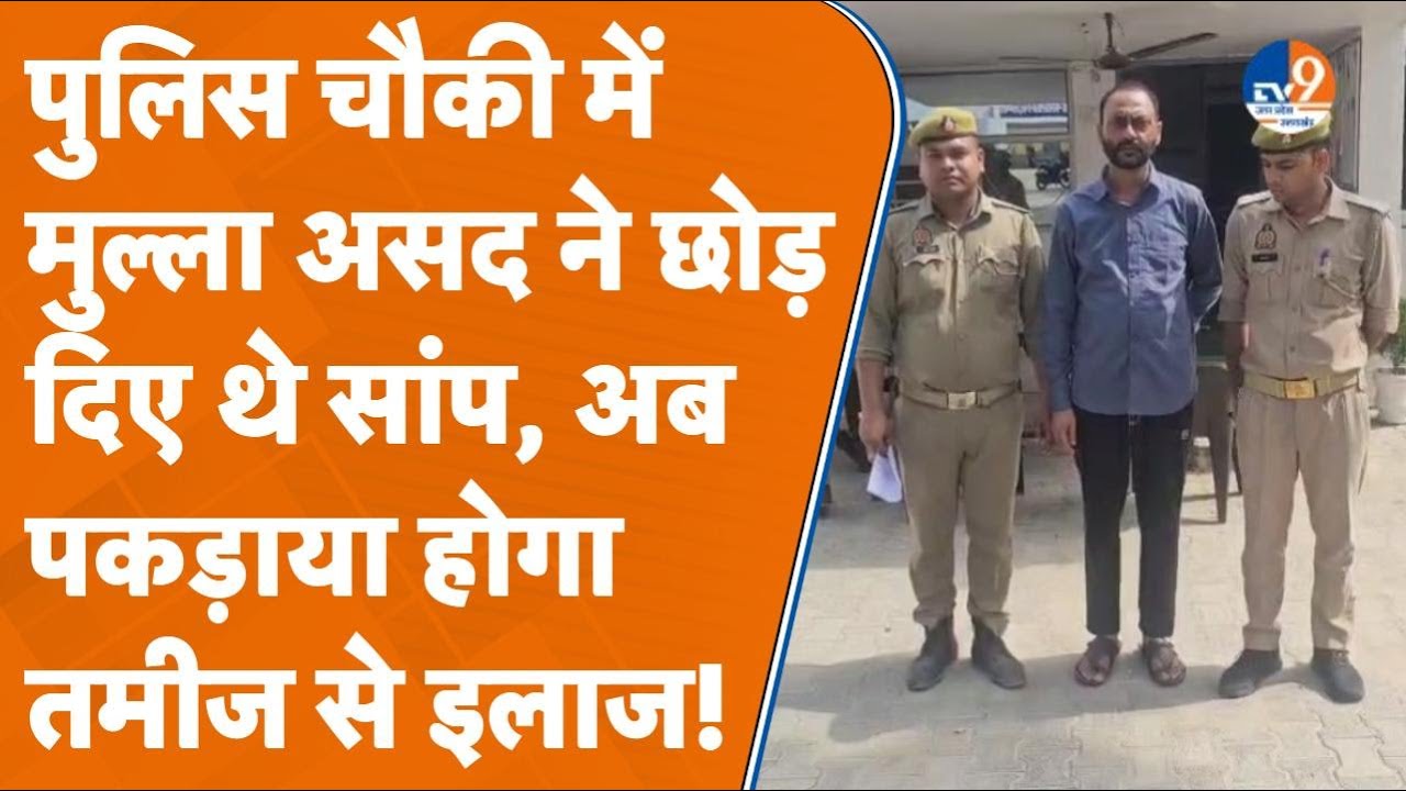 Sambhal: 25 से ज्यादा मुकदमाधारी मुल्ला असद गिरफ्तार, पुलिस चौकी में छोड़ दिए थे सांप... । TV9UPUK