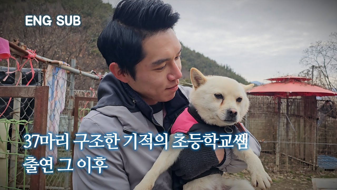 [EN] 쓰레기 먹던 개농장 37마리 살린 기적의 초등학교쌤, 1년 뒤 근황 | 마루 EP.1