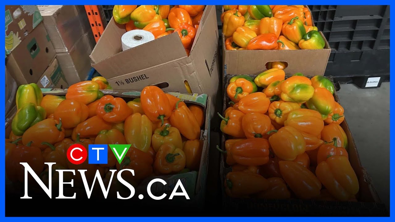 Bill 60 yields polarizing local reaction from food banks, real estate experts