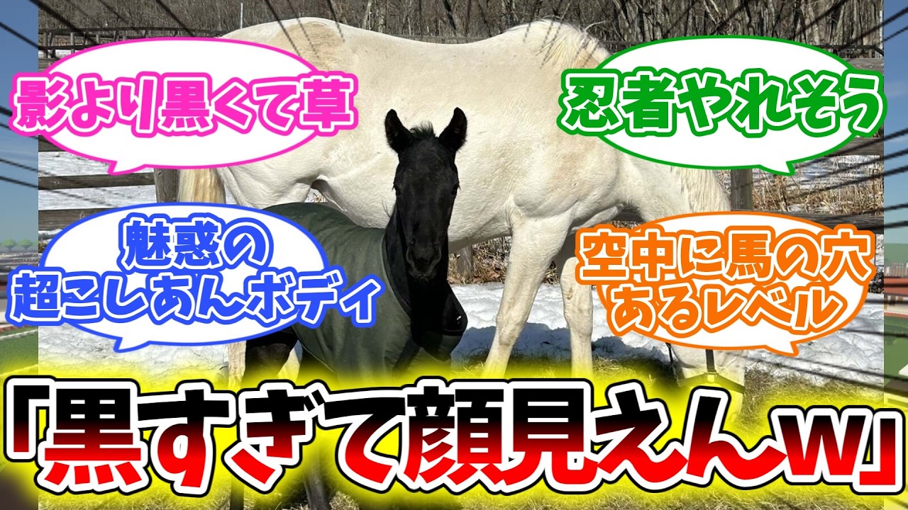 【コントレイル産駒】白い母から&ldquo;影みたいな産駒&rdquo;爆誕w 【競馬】