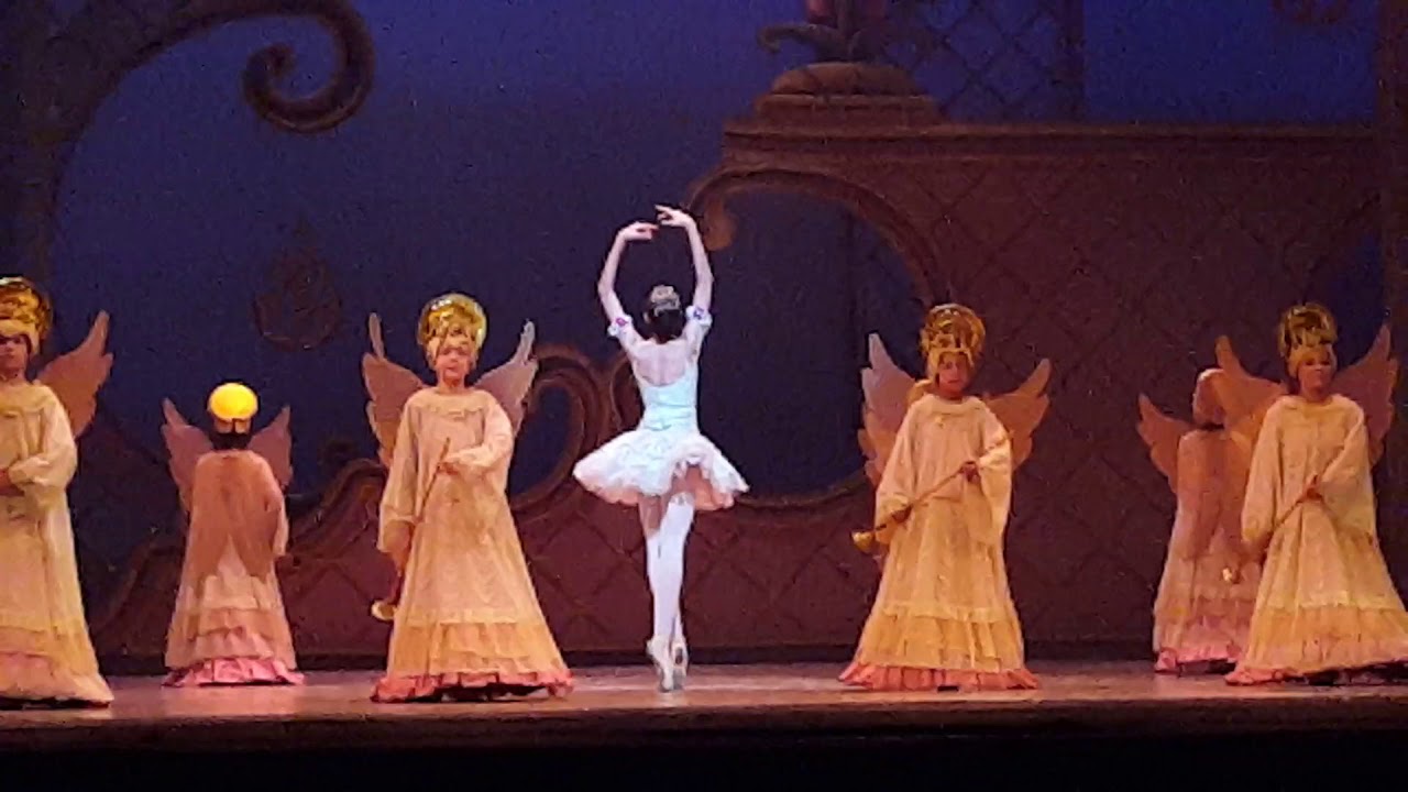 Ballet el Cascanueces Teatro Teresa Carreño. La Gota de Rocio