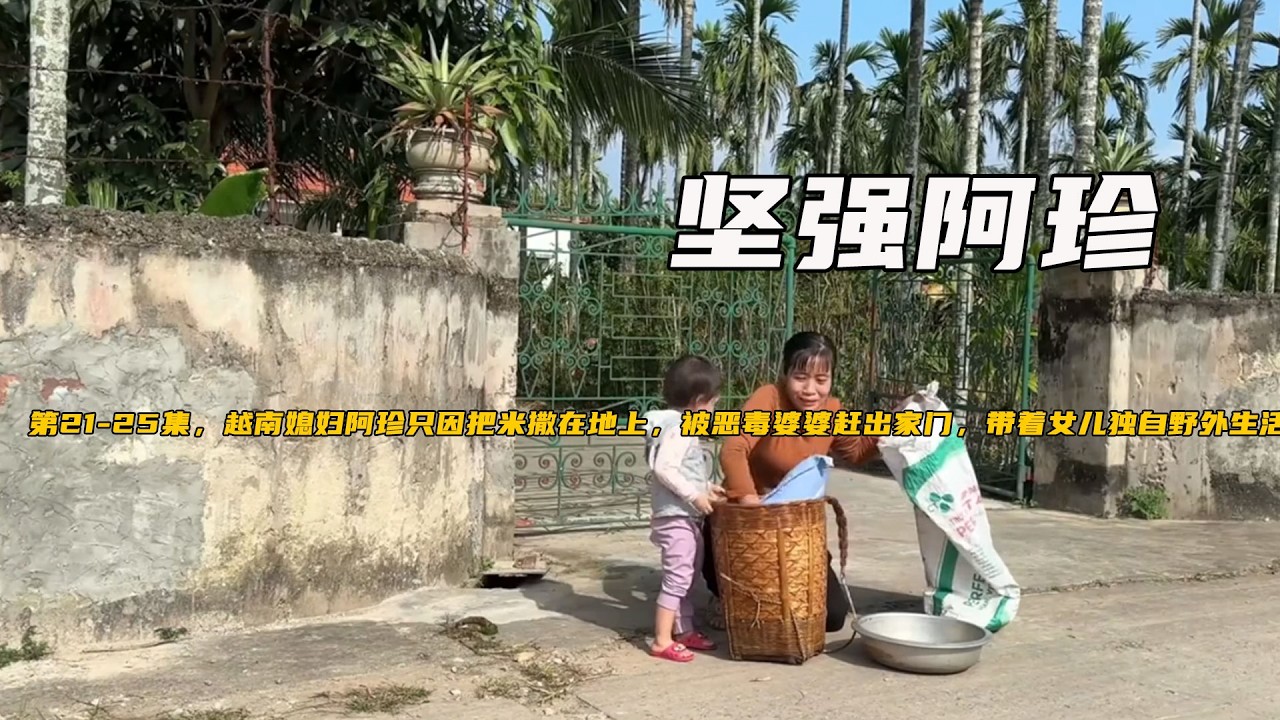 第21-25集，越南媳婦阿珍只因把米撒在地上，被惡毒婆婆趕出家門，帶着女兒獨自野外生活。《堅強阿珍》