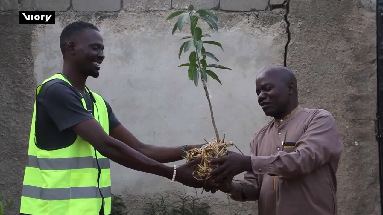One House, One Tree - Cameroonian Youth Lead Green Fight Against Drought In Far North