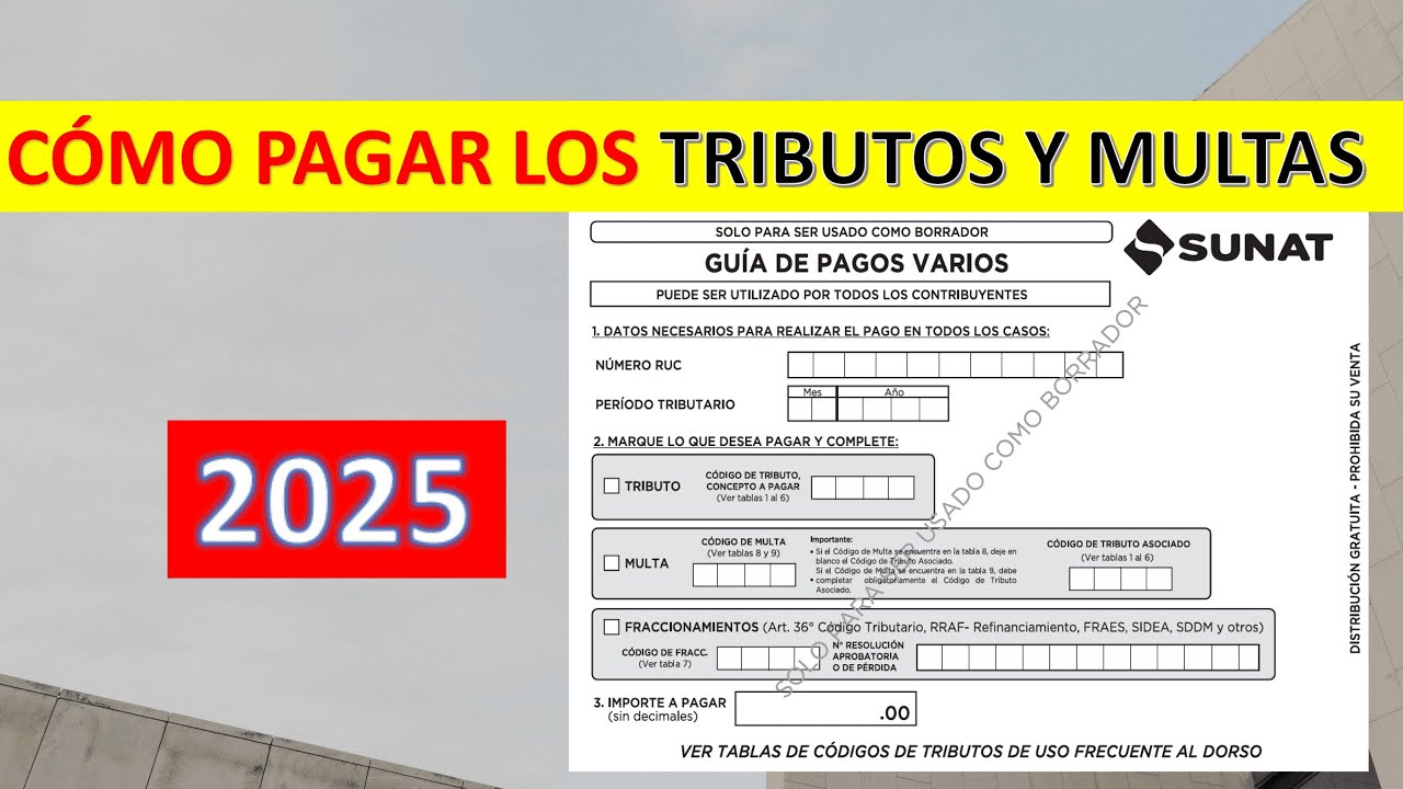 COMO PAGAR TRIBUTOS A SUNAT GUIA DE PAGOS VARIOS 1662