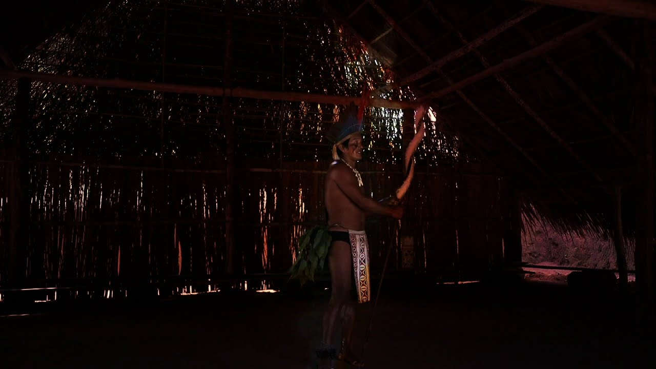 Amazonas (Official Album Visualizer)