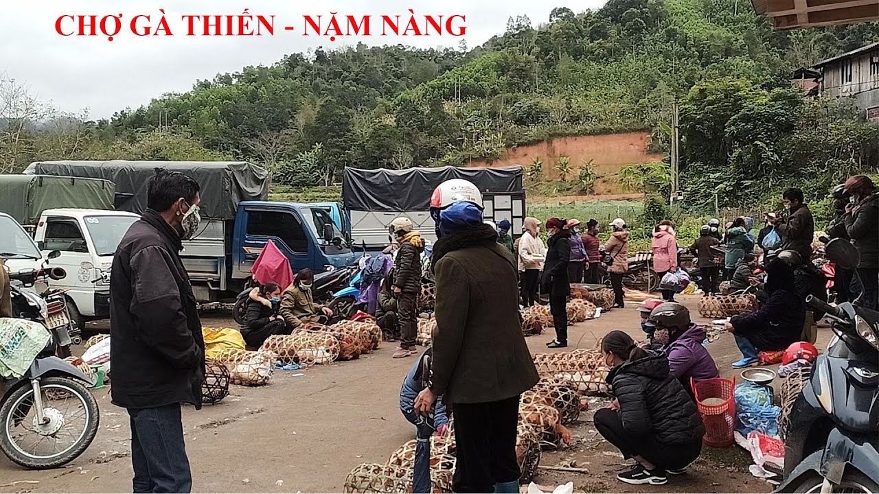 Chợ G&agrave; Thiến - Nặm N&agrave;ng Cao Bằng. Con G&agrave; Nu&ocirc;i Gần 1 Năm Mới Được B&aacute;n Thịt G&agrave; V&agrave;ng Thơm Ngon Ngọt Mềm