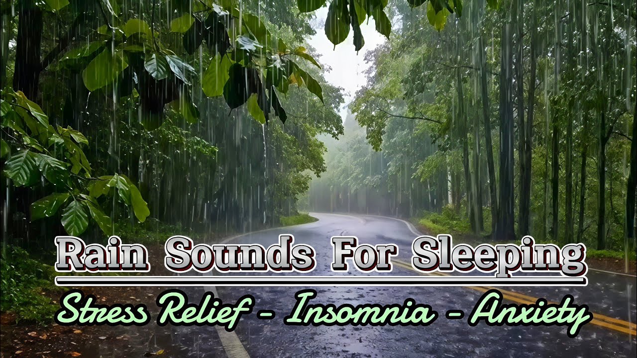 Rain Sounds For Sleeping 🌲 - 99% Instantly Fall Asleep With Rain - Rain Sound For Insomnia,  Anxiety
