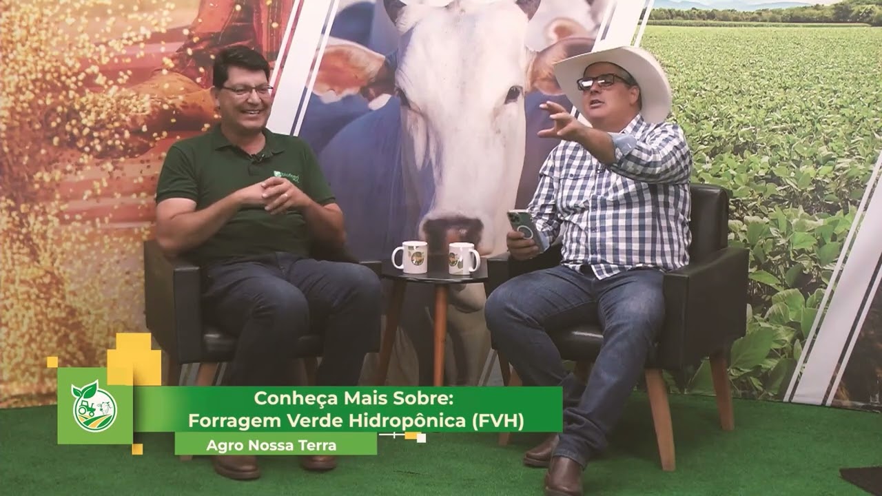 TUDO SOBRE FORRAGEM VERDE HIDROPÔNICA…BIODEED