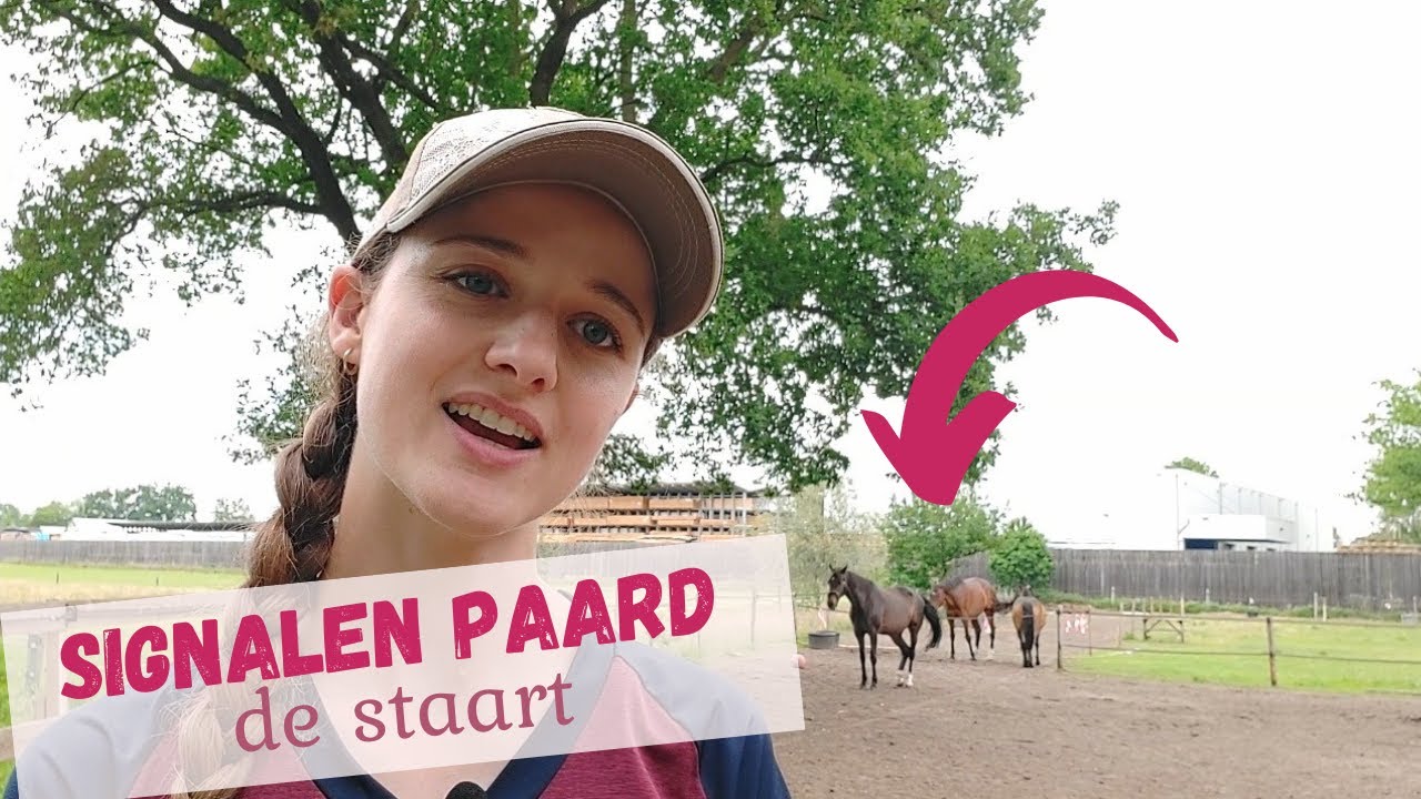 DEEL 3 MINI SERIES - PAARD SIGNALEN LEREN KENNEN - DE PAARDENSTAART - Freija Kappen
