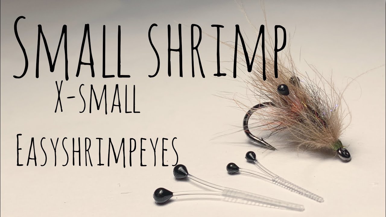 Small shrimp with x-small easyshrimpeyes👀