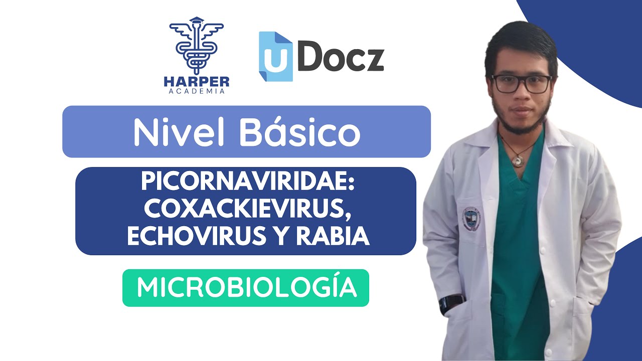 Picornaviridae, coxackievirus, echovirus y rabia 2 con Harper Academia & uDocz 📚