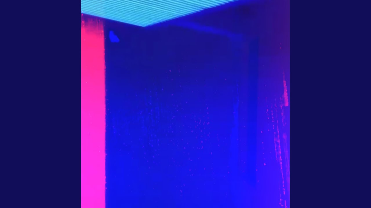 Into the Neon