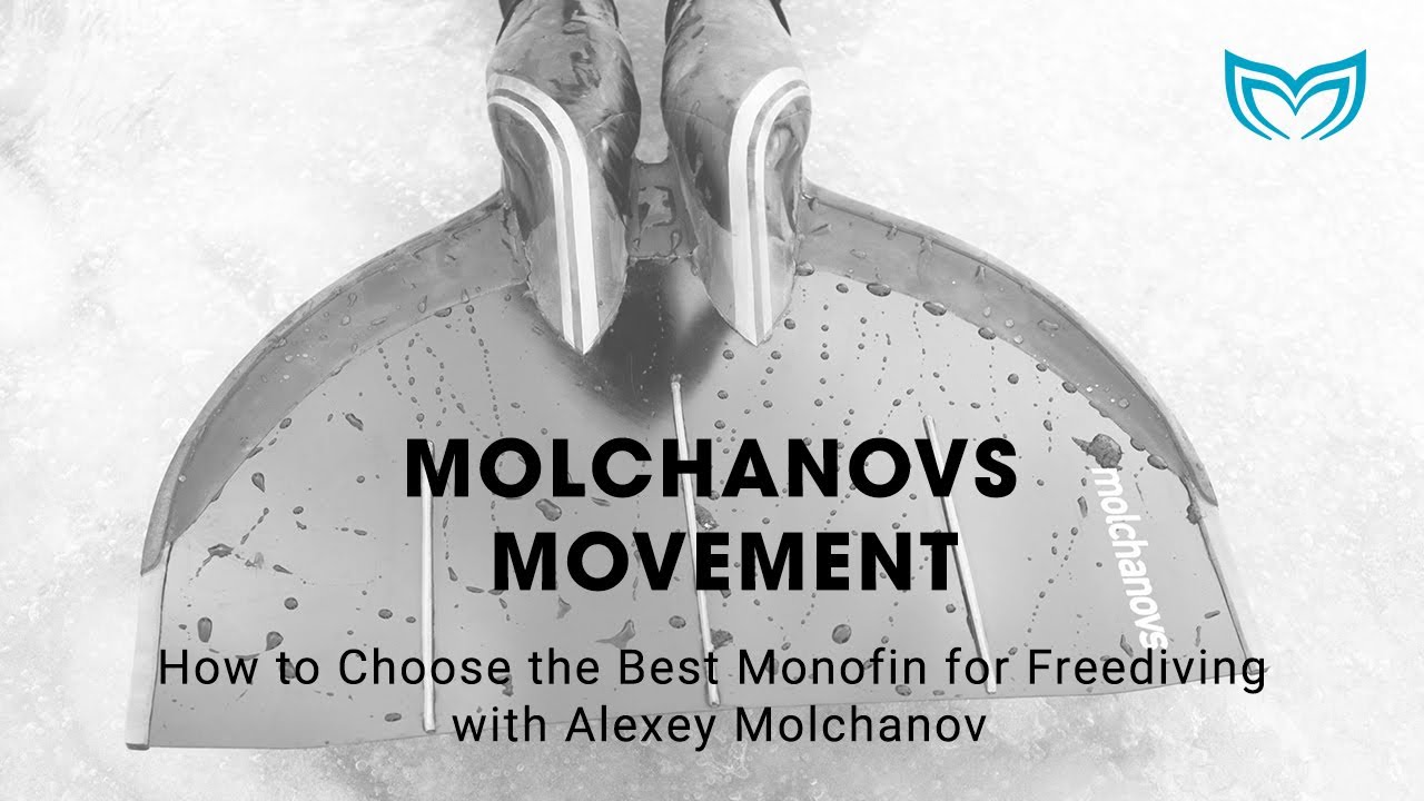 Как выбрать лучшую моноласту для фридайвинга с Алексеем Молчановым | Molchanovs Freediving