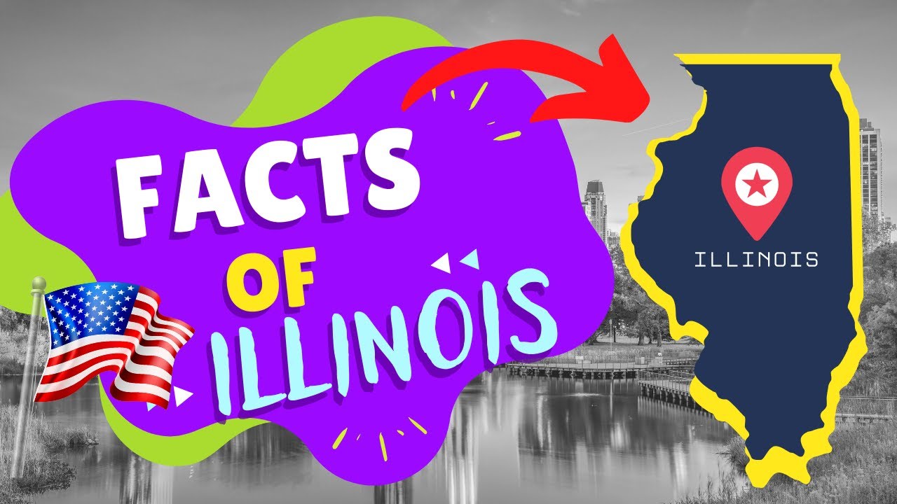 Illinois facts | Geography | School
