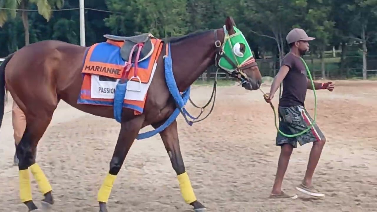 EL VILLANO L. LUEGO VARIOS 🐎 EN CANCHA VIERNES,  20 DE FEBRERO 26.