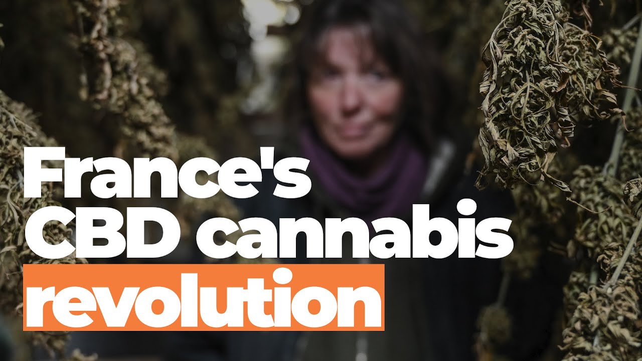 Why cannabis health shops are taking over France