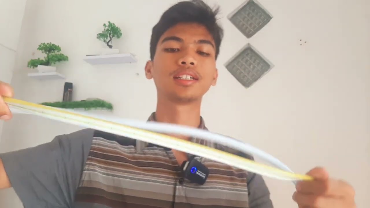 Perbedaan Neon Flex 220v VS Neon Flex 12v