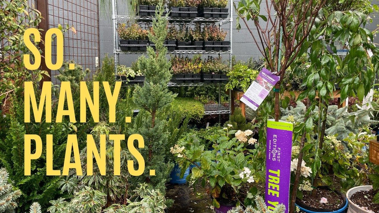 What happens to all these plants?