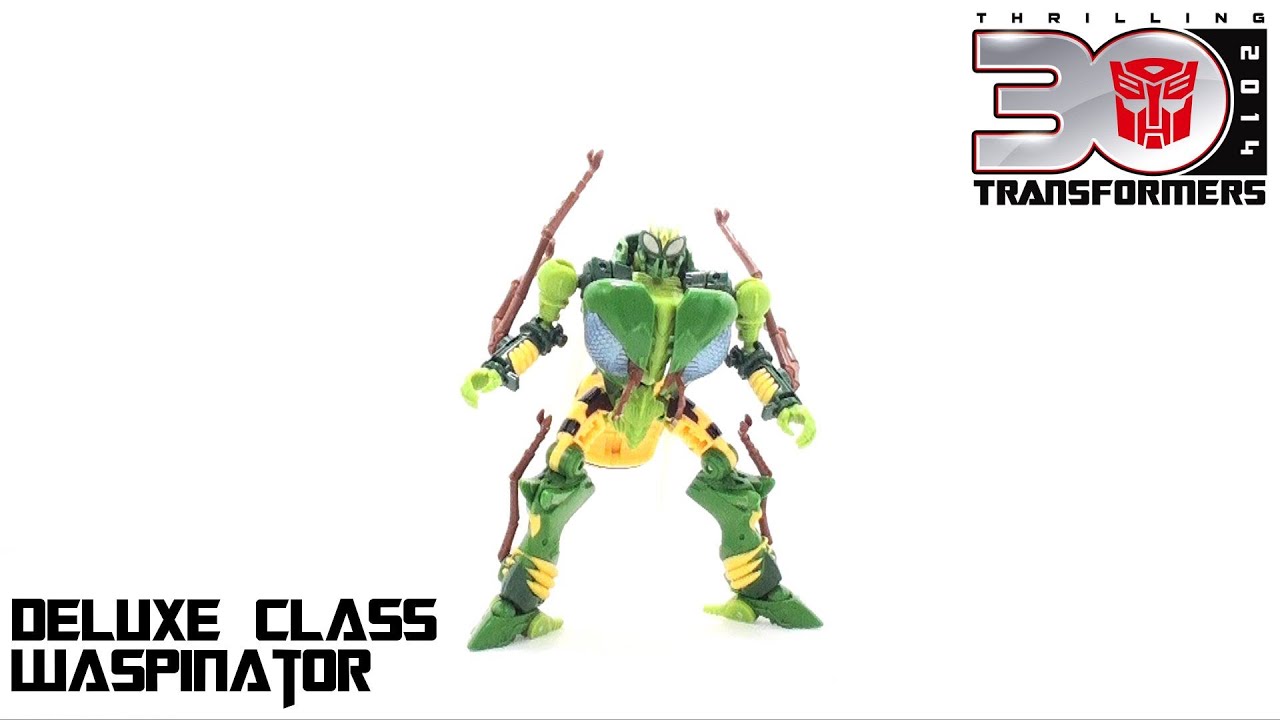 Video Review of the Transformers Generations: Waspinator