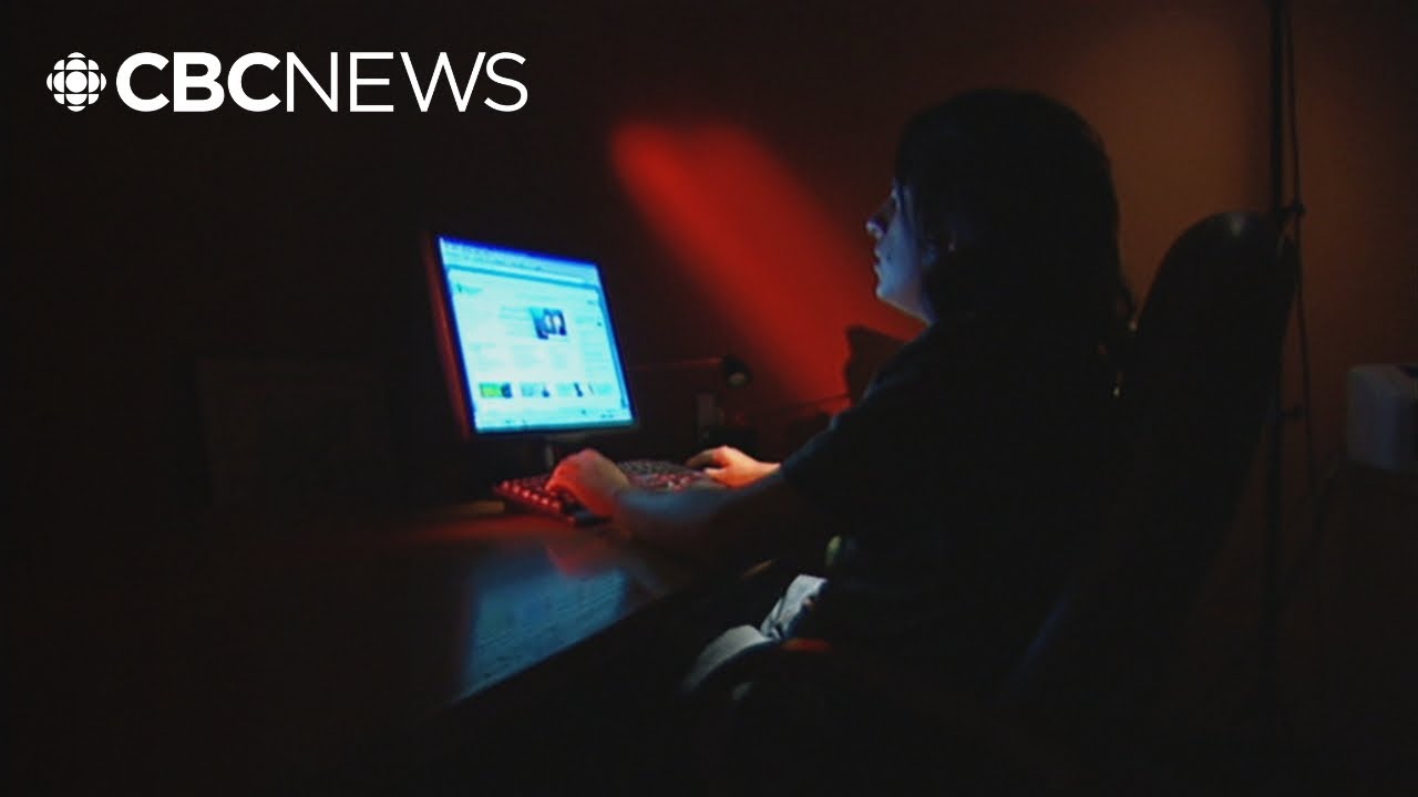 The alarming rise of fake online shopping websites