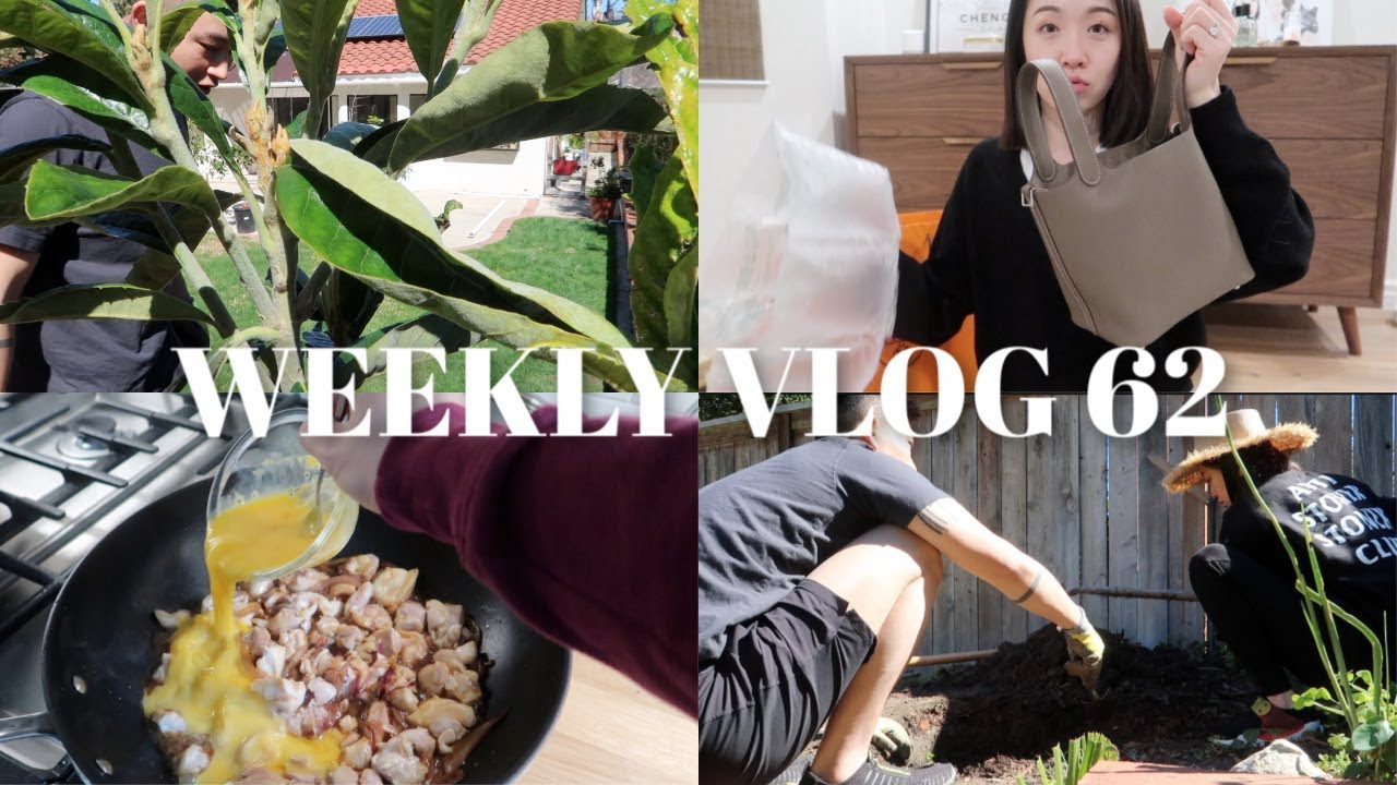 WEEKLY VLOG 62 | “农场计划” 🥑新水桶包开箱🎁亲子丼教学🍳把涤纶看哭的电影🎬