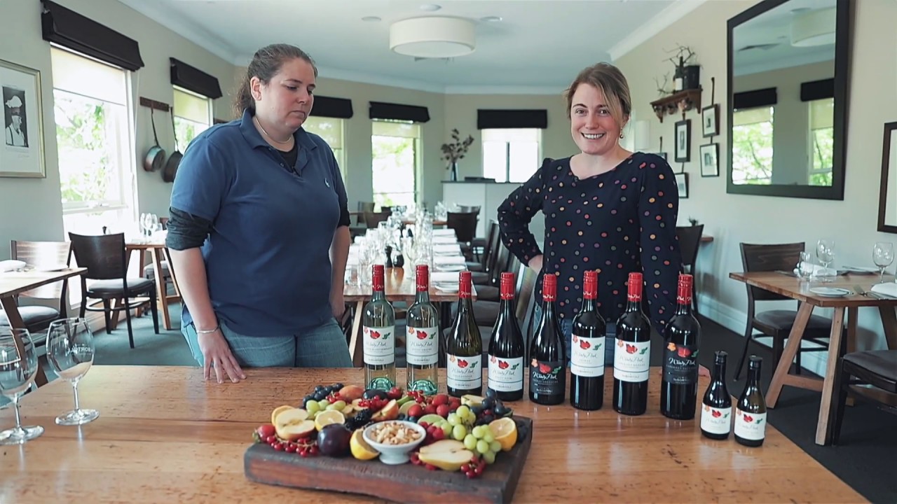 Windy Peak - Everyday Wine for Every Season