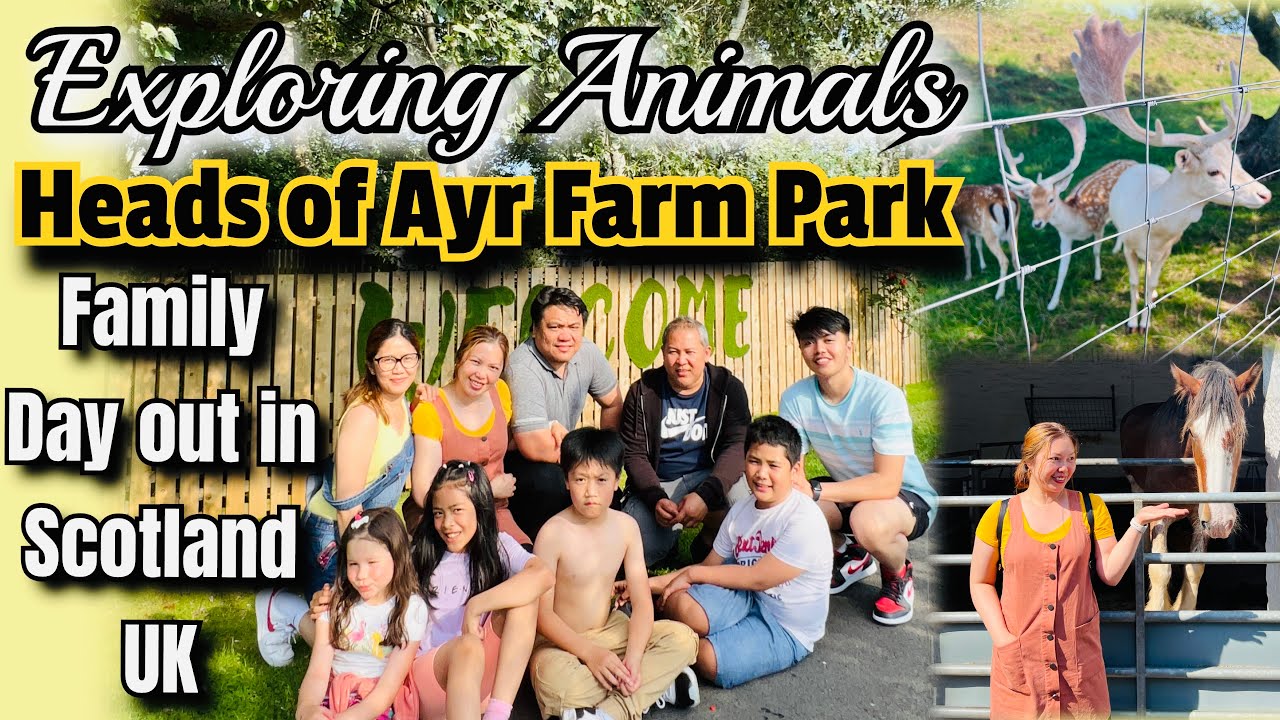 Exploring Animals that you can see in the Heads of Ayr Farm Park Scotland UK | Fun Family Activities