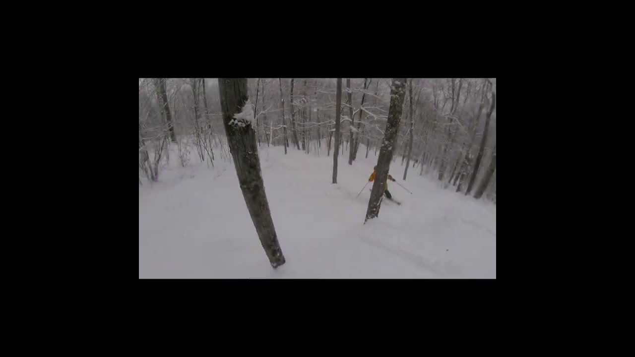 Gore Boreas glades 2 21 2026