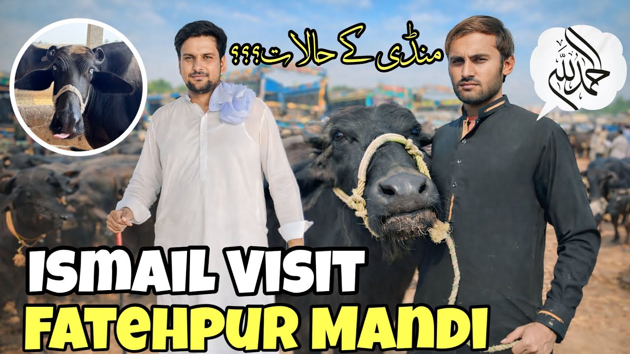 Ismail Jutt Visit Fatehpur