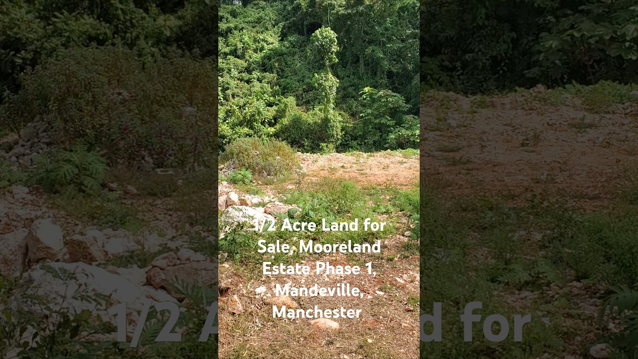 Price: $21,000,000 JMD, $132,911 USD, $108,808 POUNDS. Contact: 876-571-6678, 876-539-8772