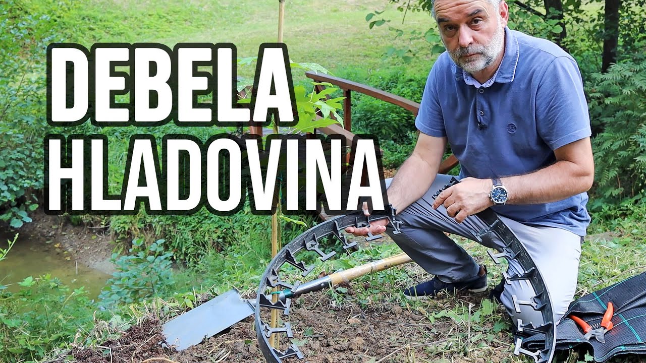 Debela hladovina