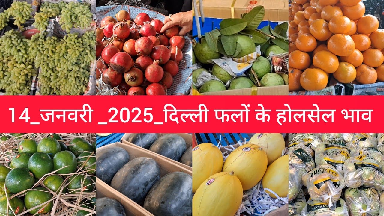 January 14, 2025 दिल्ली फलों के भाव delhi fruit market price APMC delhi fruit market #fruitmarket