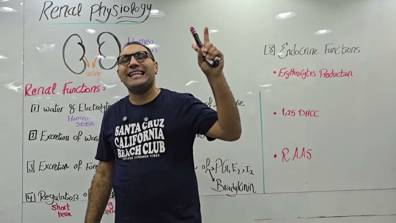 Renal Physiology -1 Kasr Alainy 198 || 2026