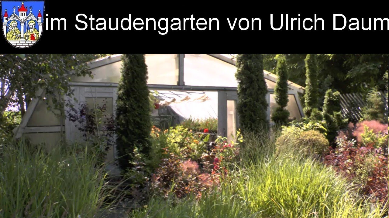Im Staudengarten von Uli Daum -Volkmarsen