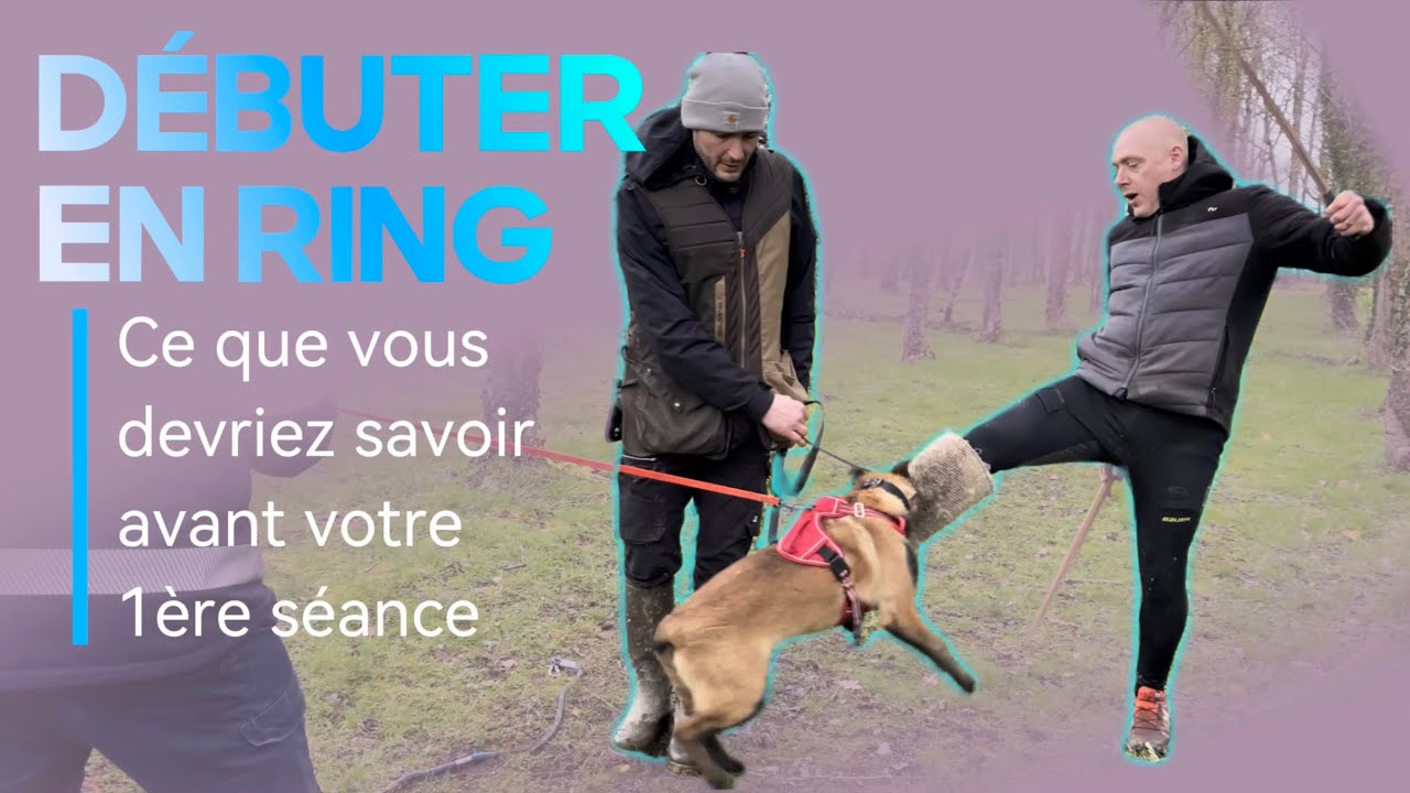 Personne ne vous l’a dit ! Toutes les explications pour bien démarrer en RING et son MORDANT sportif