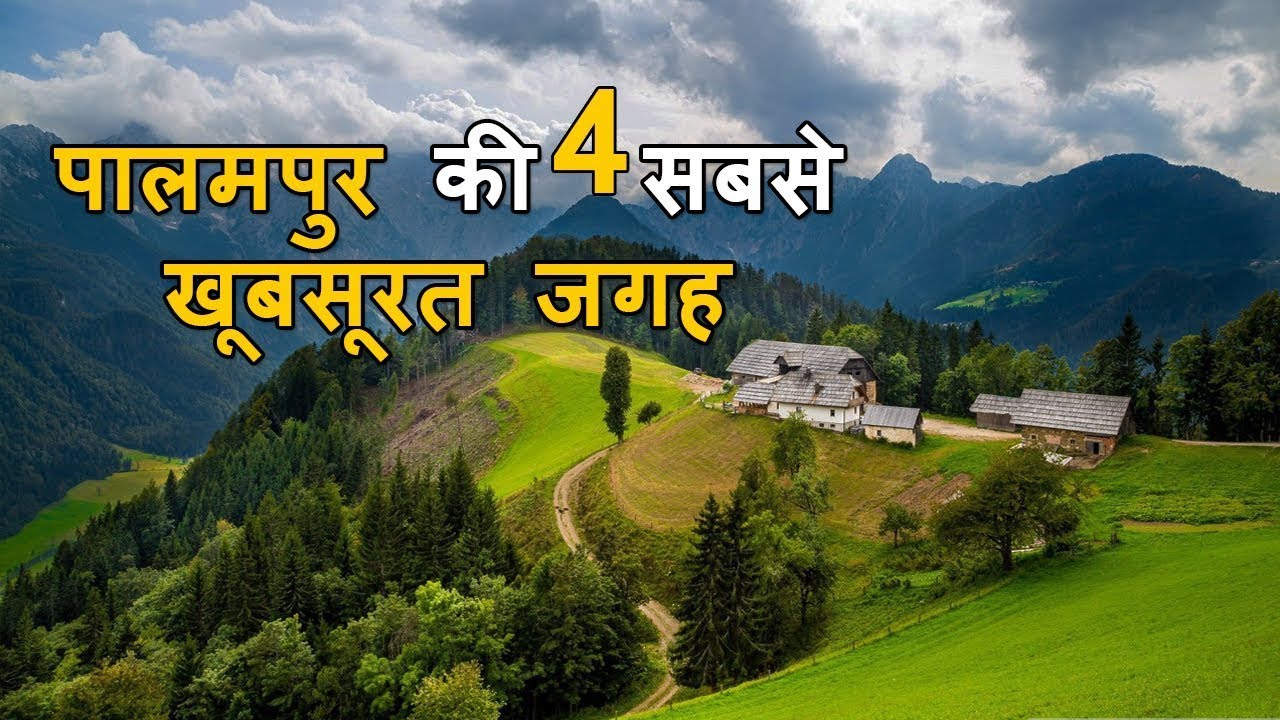 Most Beautiful Tourist Place in Palampur || Himachal Pradesh