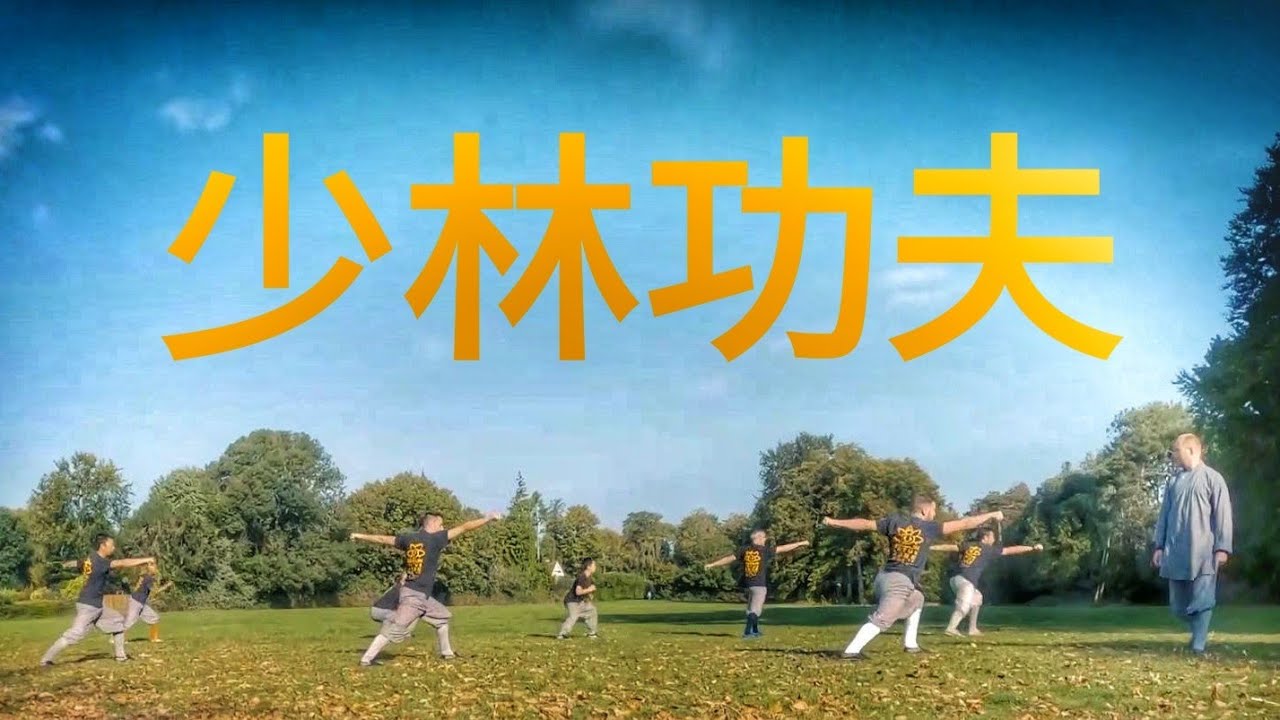 Shaolin Martial Arts - 少林功夫 - Shaolin Lotus