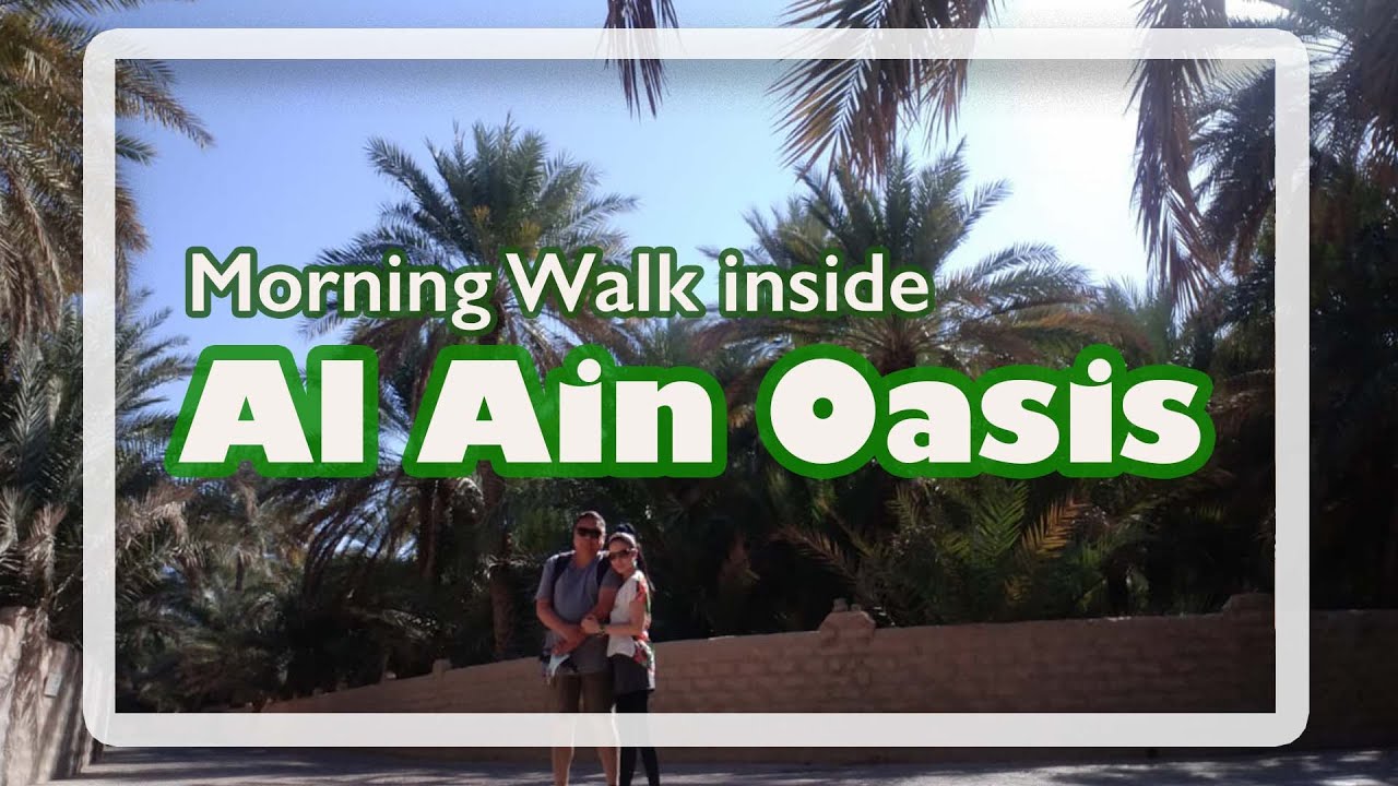 Morning at Al Ain Oasis