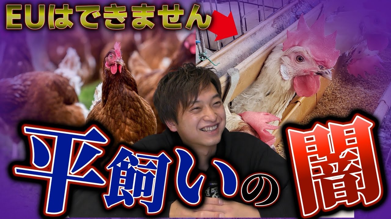 良い平飼いもあります。でも全部がそうじゃないんです【養鶏農家解説】