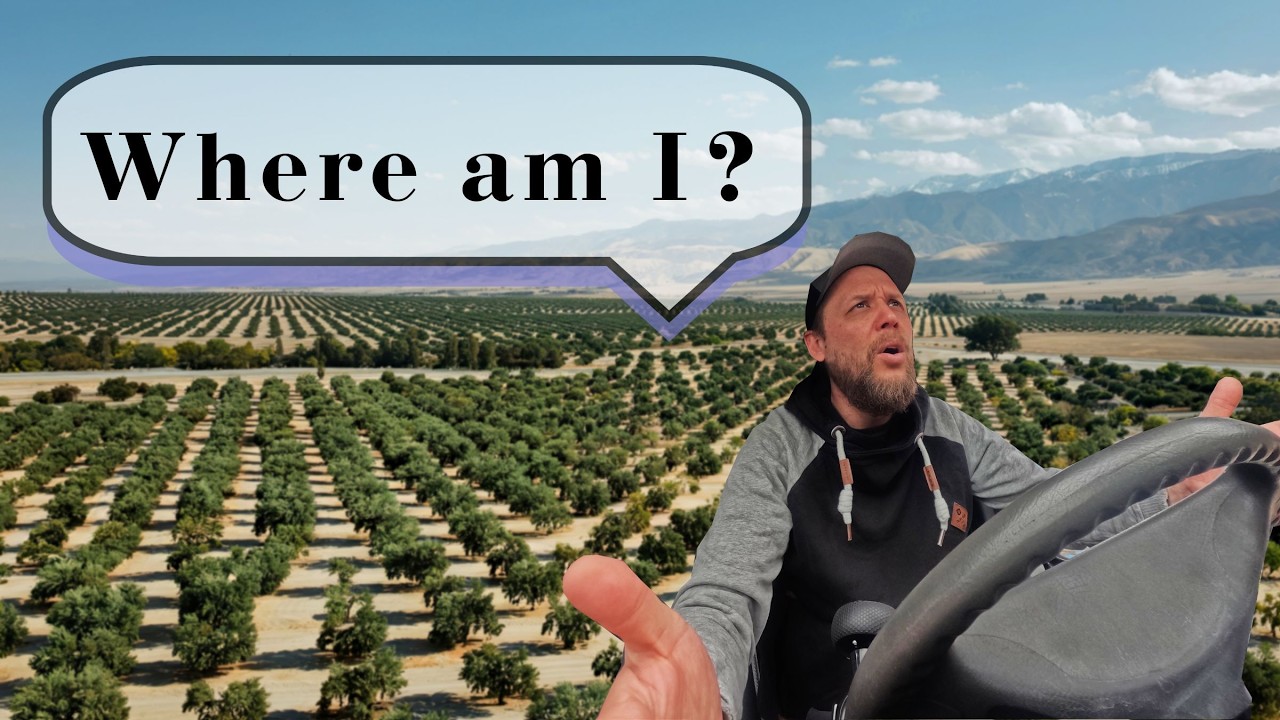 I got lost in the endless olive fields of Andalusia! 🇪🇸 I Mission Cape Agulhas, E8