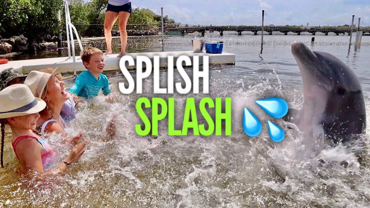 Dolphin 🐬 Splashing in the Florida Keys 🏝 PLUS: Kayaking & Tarpon Feeding @ Robbie’s!