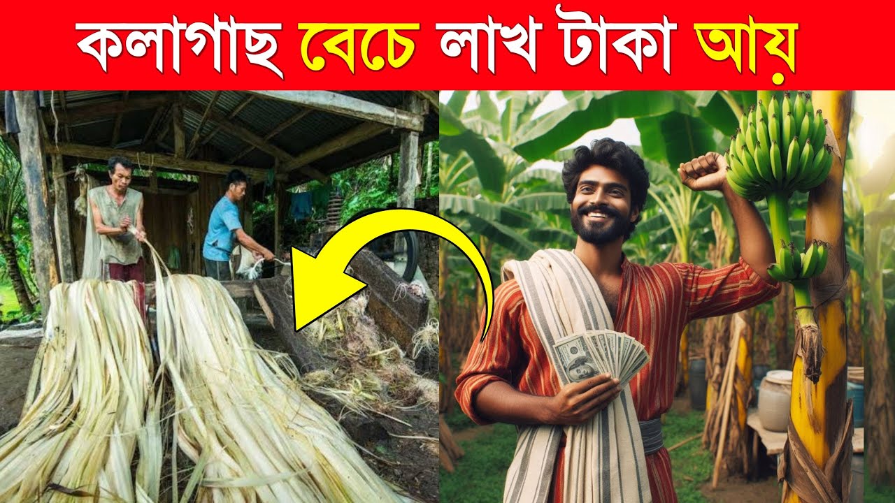 কলা নয়, এবার গাছ বেচে লাখ টাকা আয় | Banana Fiber Making | Banana Farming | Banana Fiber Business