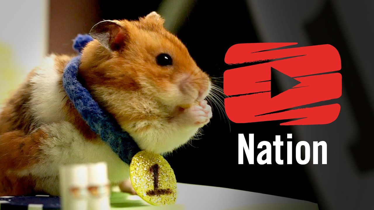 Tiny Hamster vs Competitive Eater