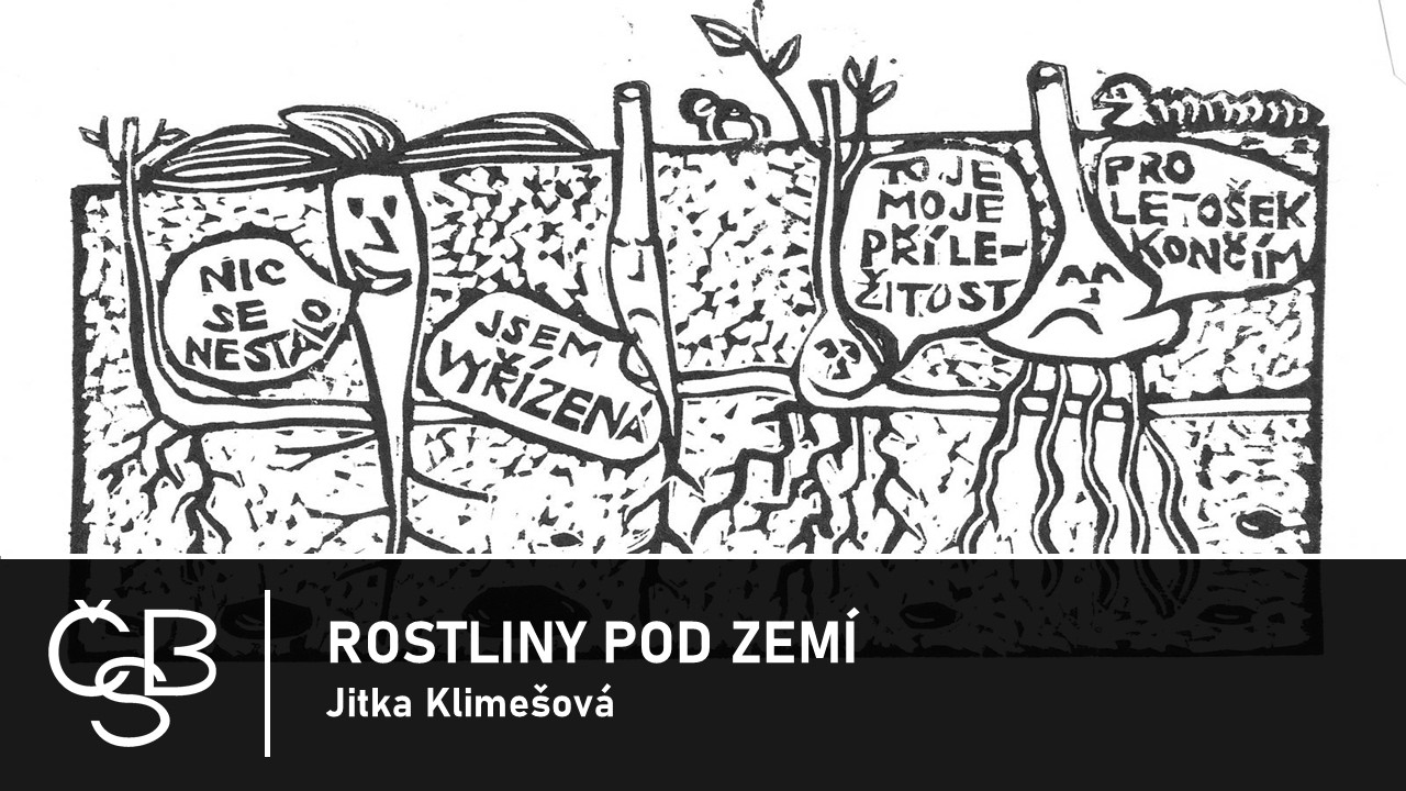 Přednáškový cyklus ČBS: Jitka Klimešová - Rostliny v podzemí