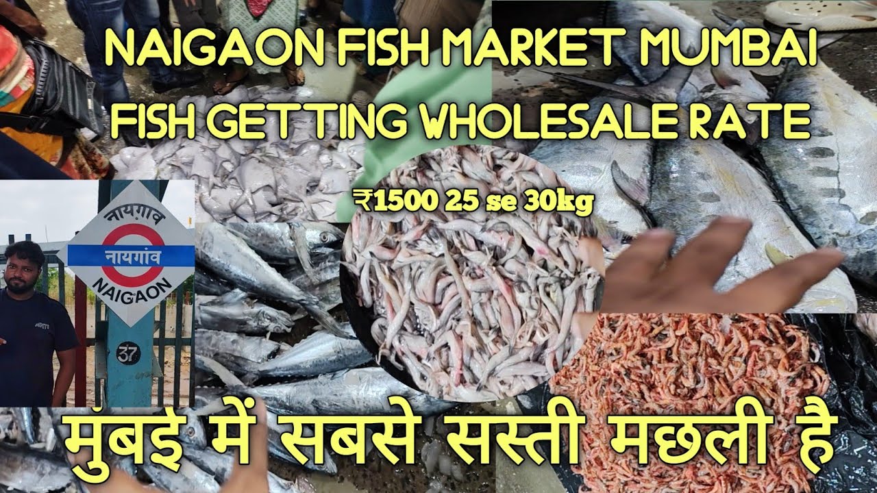 Naigaon fish Market Mumbai || wholesale rate|| cheapest rate fish 🐠 in Naigaon mumbai 