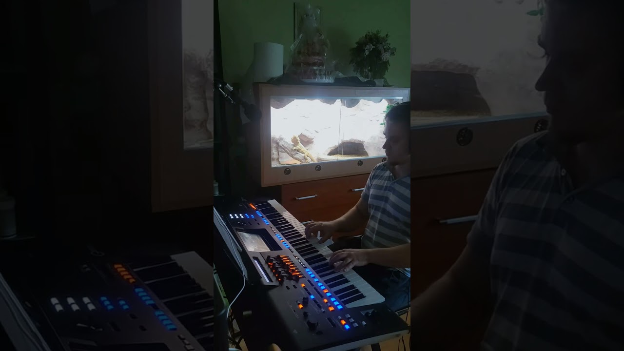 Gigi D'Agostino - L'amour Toujours (cover) yamaha genos 2