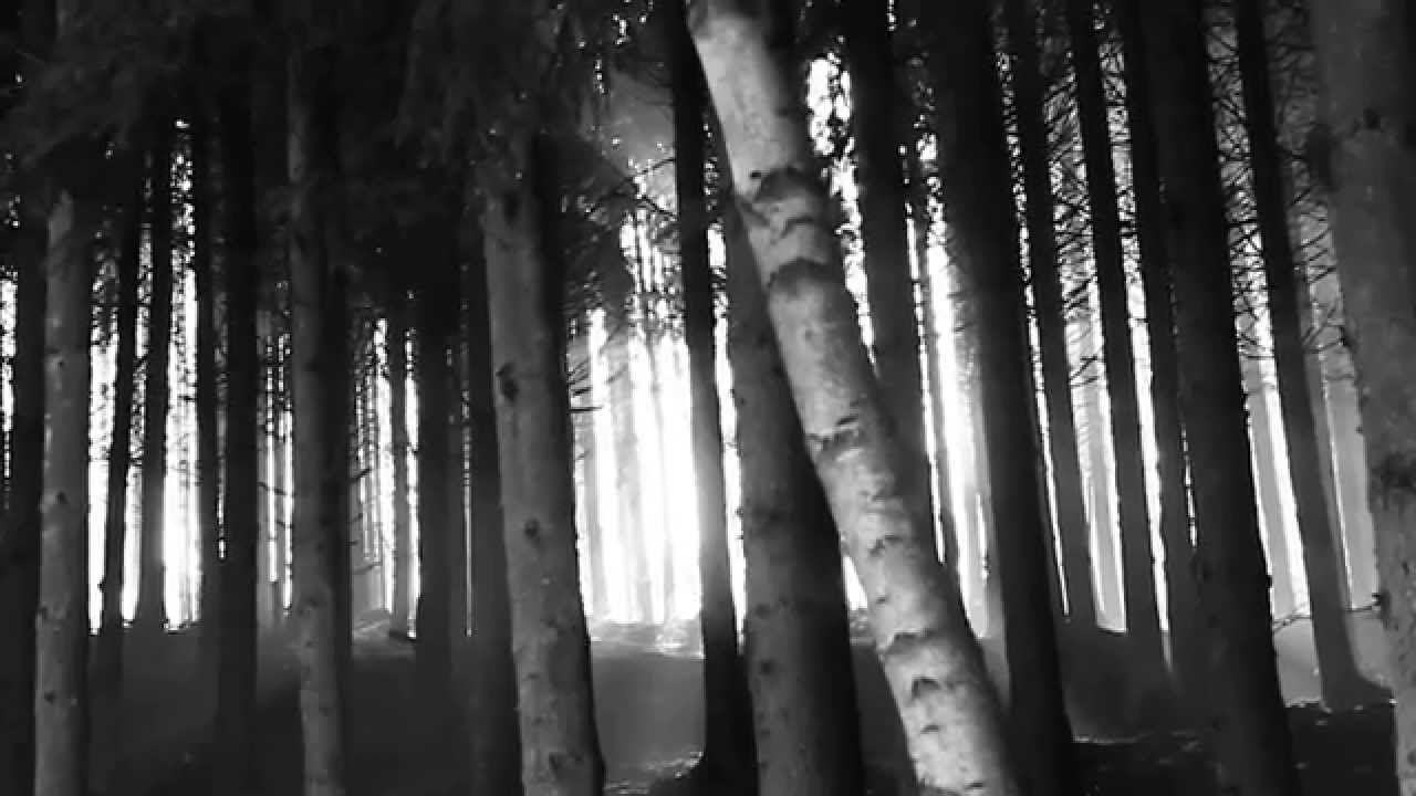 Free Horror Winter Footage - Creepy Snow Landscape - Scary Compilation