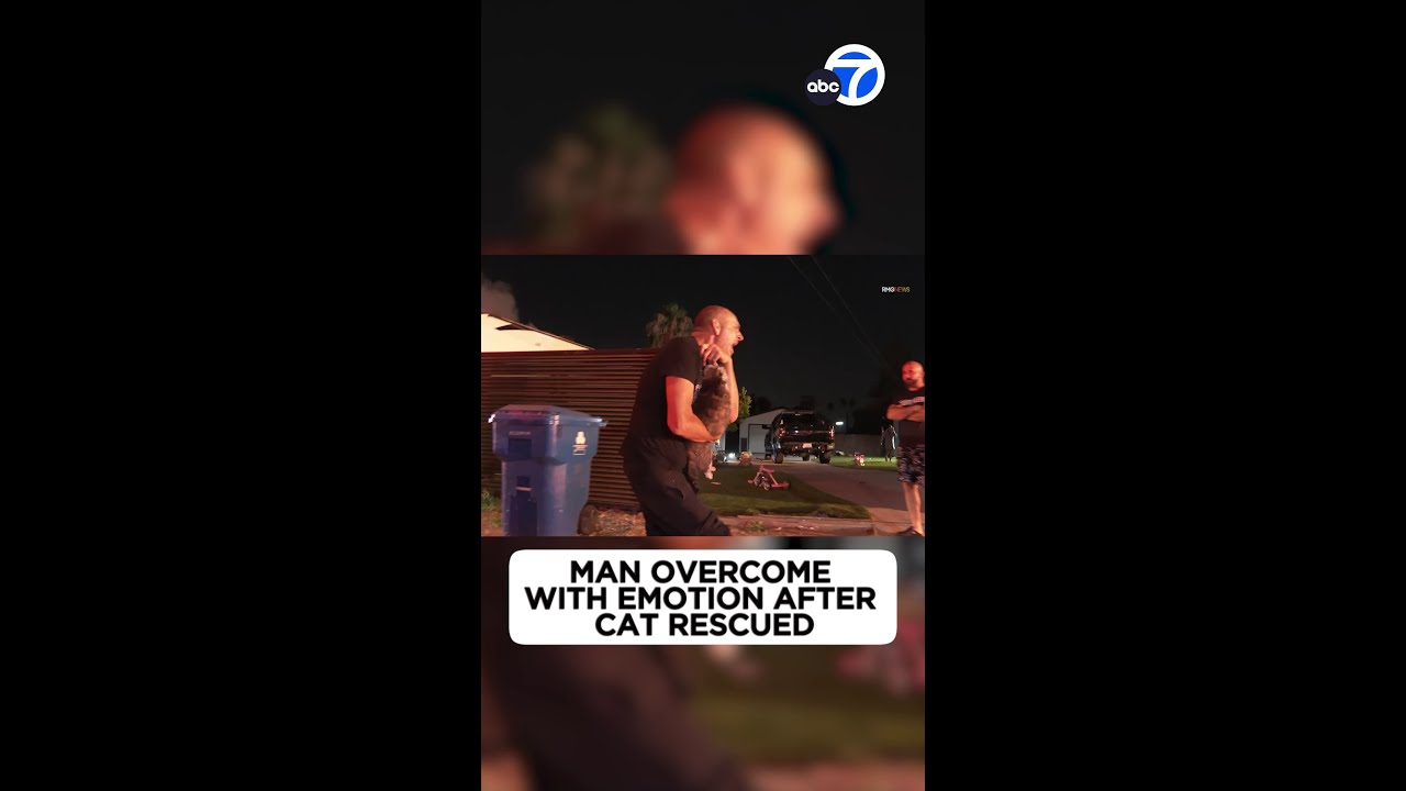 Man overcome with emotion after cat rescued
