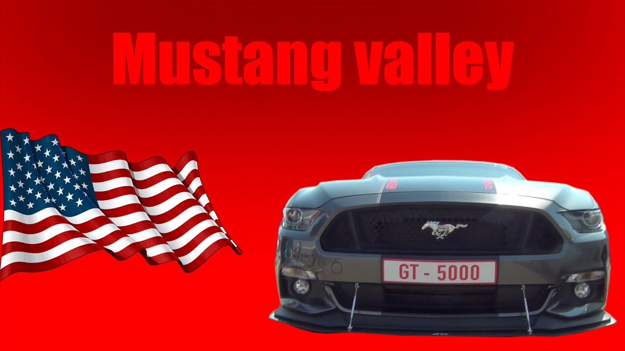 MUSTANG VALLEY - Poeldijk