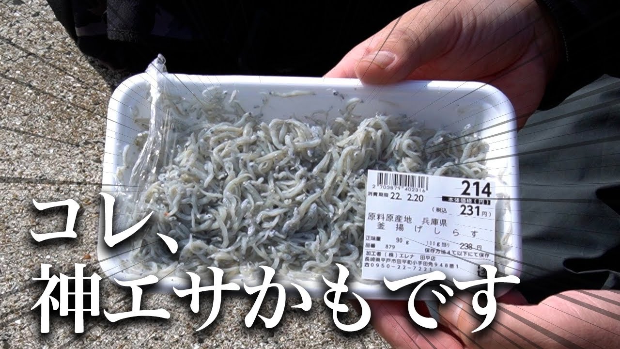 スーパーで買った釜揚げしらすを釣りエサにしてみたら…脅威の食わせ力に衝撃走る。